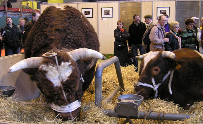 Paris - Salon de l'agriculture